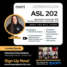 Load image into Gallery viewer, ASL 202 Online Classes