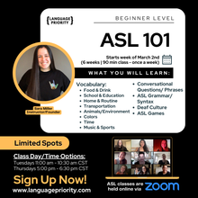 Load image into Gallery viewer, ASL 101 Online Classes