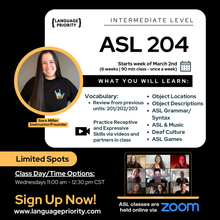 Load image into Gallery viewer, ASL 204 Online Classes