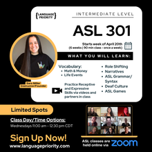 Load image into Gallery viewer, ASL 301 Online Classes