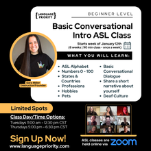 Load image into Gallery viewer, Basic Conversational Intro ASL Classes